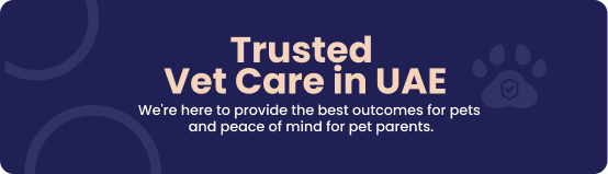 Trusted Vet Care in UAE