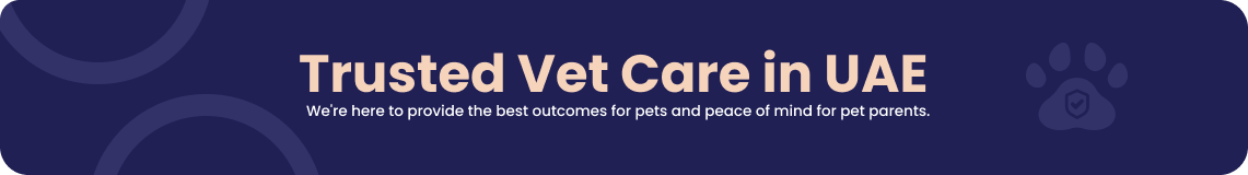 Trusted Vet Care in UAE